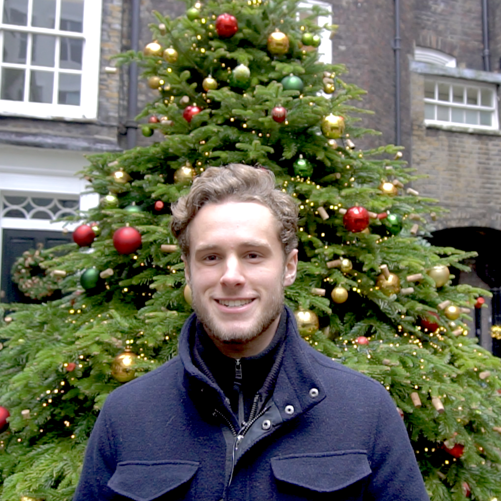 london christmas lights tour